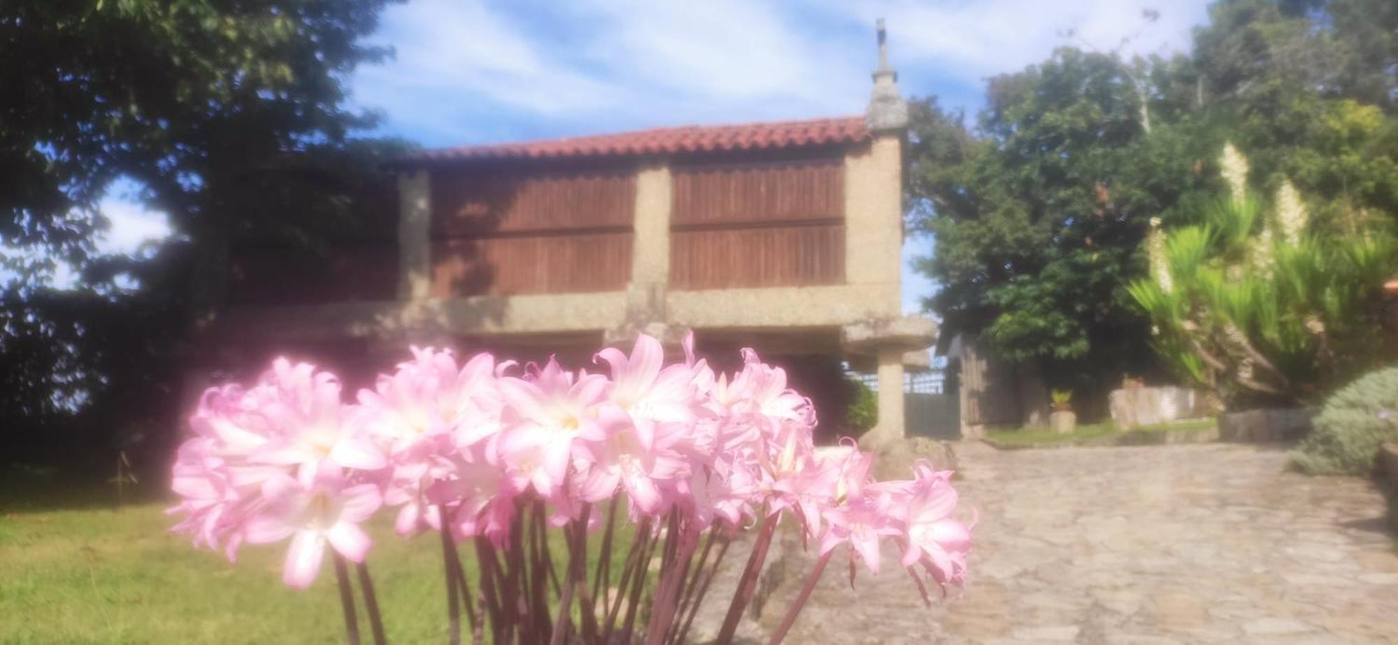 Penzion Casal De Folgueiras Rias Baixas Meis Exteriér fotografie